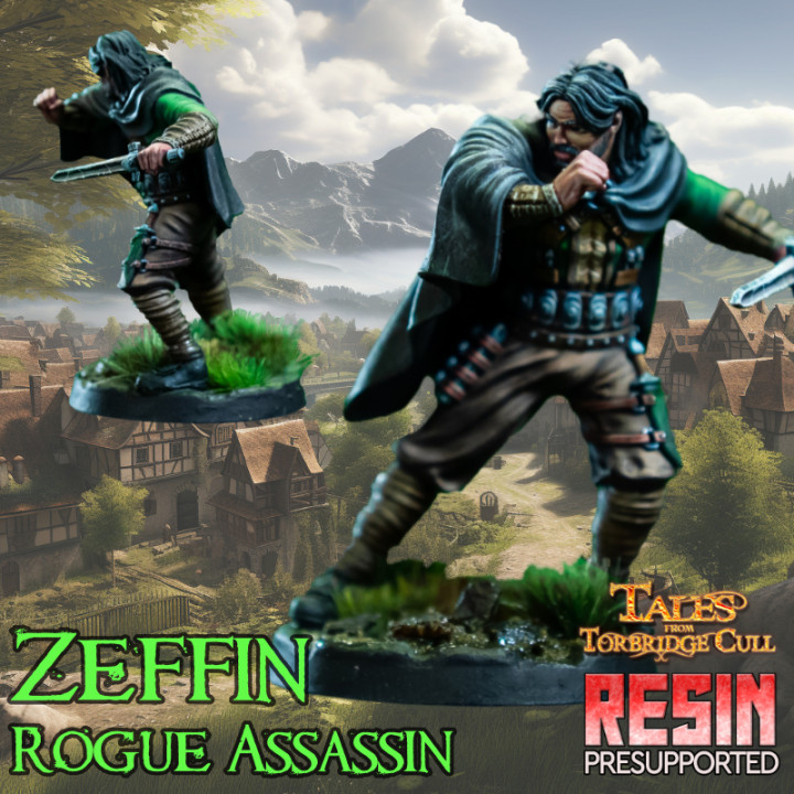 Zeffin - Rogue Assassin's Cover