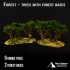 Forest - Trees with forest bases image