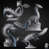 Sea Dragons image