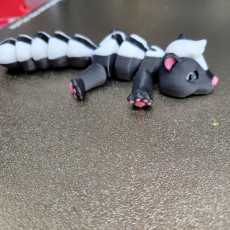 Picture of print of Articulated Skunk