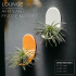 LOUNGE | Air Plant Holder Fridge Magnet image