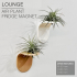 LOUNGE | Air Plant Holder Fridge Magnet image