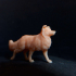 Border Collie Dog Miniature image