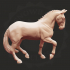 Lusitano Dressage Horse Model image