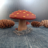 Three mushrooms on a rock image