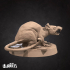 Giant Rats (Graveyard Minions) (4 Models) image