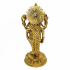 Dhanavantri, Lord of Ayurveda (Herbal Medicine) image
