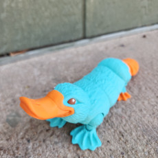 Picture of print of Platypus, Articulated fidget, Print-In-Place, Cute Animal