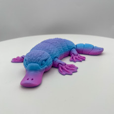 Picture of print of Platypus, Articulated fidget, Print-In-Place, Cute Animal