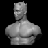 Darth Maul - Statue Bust - Star Wars 3D Print File Model - STL image