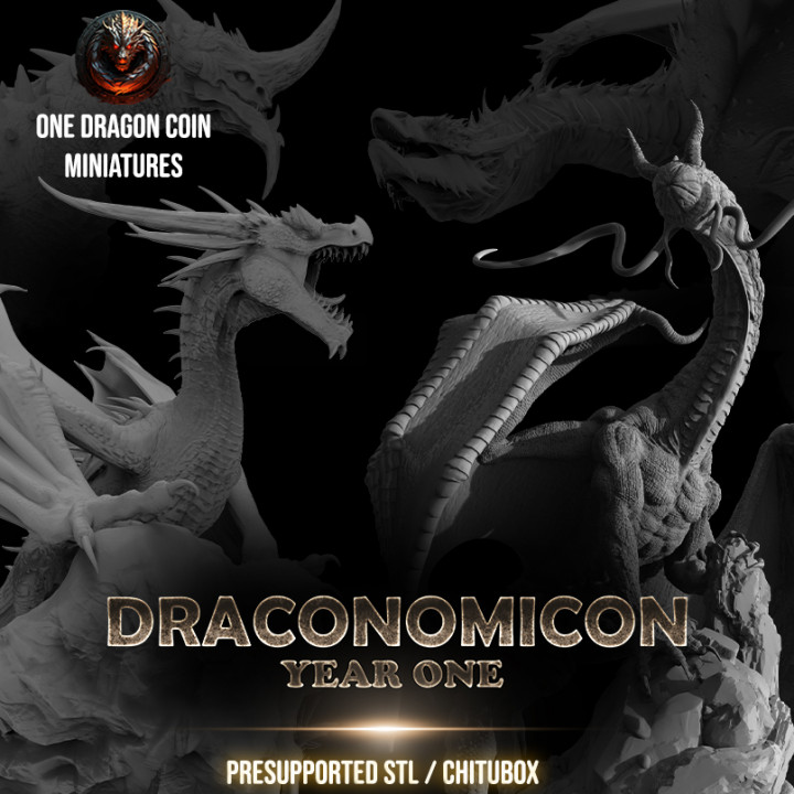 Draconomicon Year One Dragon Collection's Cover