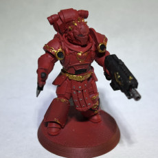 Picture of print of The Crimson Wings Promo model
