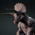 Triceratops 2 image