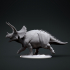 Triceratops 3 image