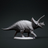Triceratops 3 image