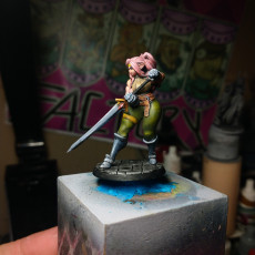 Picture of print of Sybil the Elf Warrior
