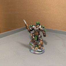 Picture of print of Warforged Druid - Myrion Stoneheart