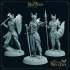 Knights of Lyra, Modular Miniature, 24 Variants image