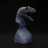 Acrocanthosaurus bust - pre supported image