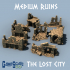 Lost City : Medium Ruins image