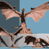 Black Dragon Pack image