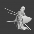 Medieval Crusader Knight downed by javelins image