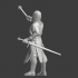 Medieval Scandinavian Knight - With mace image