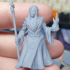 Daleth Cinderglow - Elf Wizard - Fantasy Miniature image
