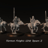 Norman Knights With Spears 2 image