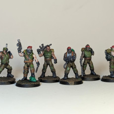Picture of print of Green Hell Division Infantry Squad (pre-assembled)