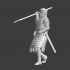 Medieval crusader with javelin image