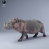 Hippo Run image