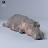 Hippo Sleep image