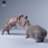 Hippos Fighting image