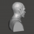 Barack Obama - High-Quality STL File for 3D Printing (PERSONAL USE) image