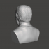 Lyndon B. Johnson - High-Quality STL File for 3D Printing (PERSONAL USE) image