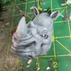 Picture of print of Rhino wall hanging