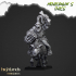 Mounted Cave Orcs - Highlands Miniatures image