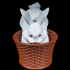 Cottontail Rabbit Basket image