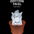 Cottontail Rabbit Basket image