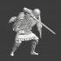 Viking Warrior - Sword and shield image