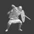 Viking Warrior - Sword and shield image
