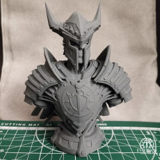 Picture of print of Dead Knight Bust