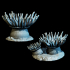 Giant Sea Anemones (2) image