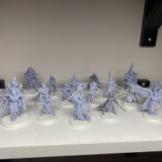 Picture of print of Tech Elves - Pirates