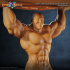 Arena Strongman, Breath of Fire 3 Statue, Pre-Supported image