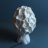 Table lamp “Esculenta Fungus” image