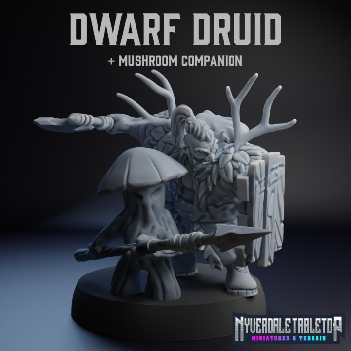 Dwarf Druid with Mushroom companion's Cover