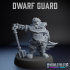 Dwarf Guard image