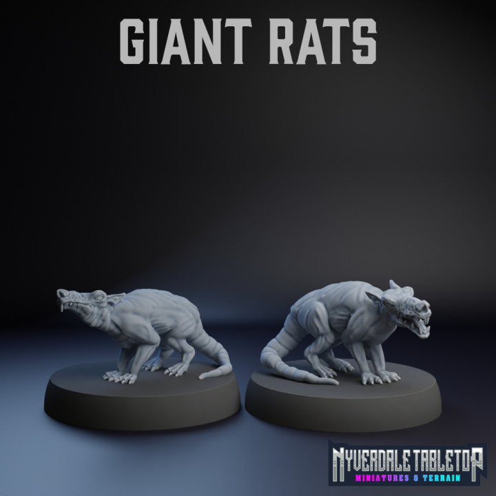 Giant Rats's Cover